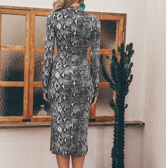 Snake Print Long Sleeve Tie Front Dress - Picture 4 of 4